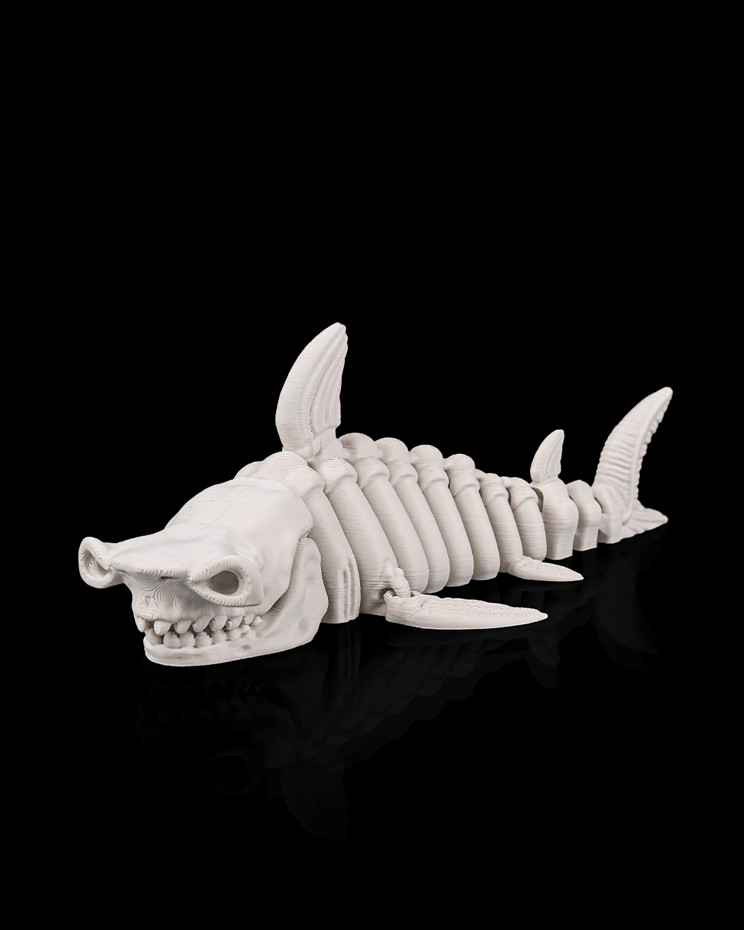 Skeleton Shark